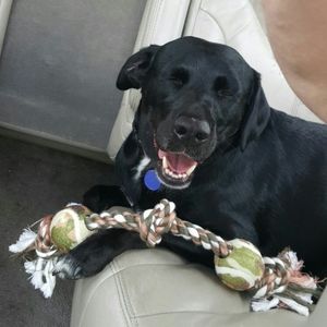 Meet your Posher, Brian